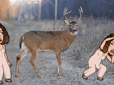 1.14   A Mile A Minute: Some Disorganized, Rapid-Fire Thoughts After a Week Here In John&nbsp;Denver-ville